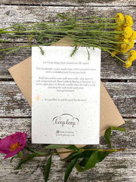 Plantable Flower Card - Centaurea Flower