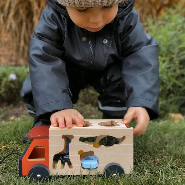Shape Sorting Safari Truck