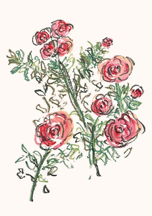 'Gatelands Roses' Print