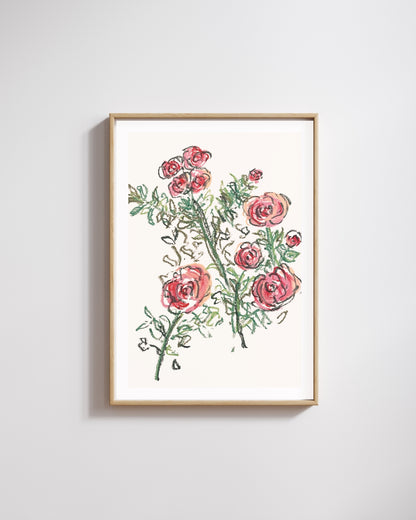 'Gatelands Roses' Print
