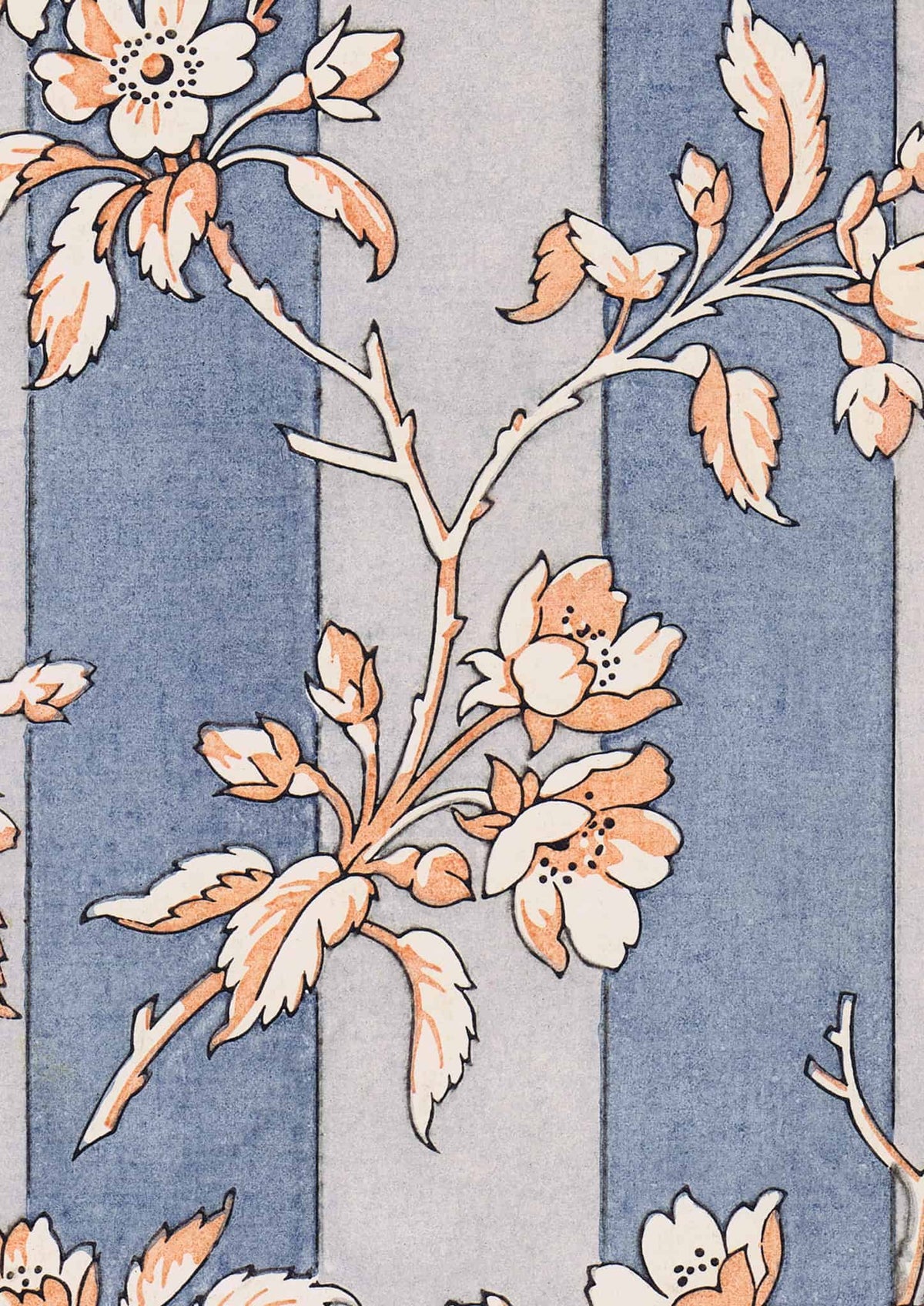 No.005 - Wallflower - Vintage Archive Poster Print