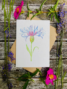 Plantable Flower Card - Centaurea Flower
