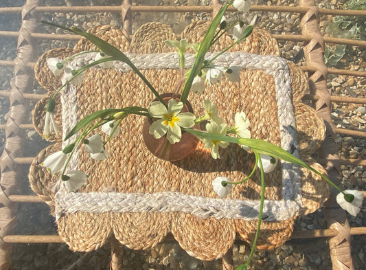 Cream Jute Table Mat