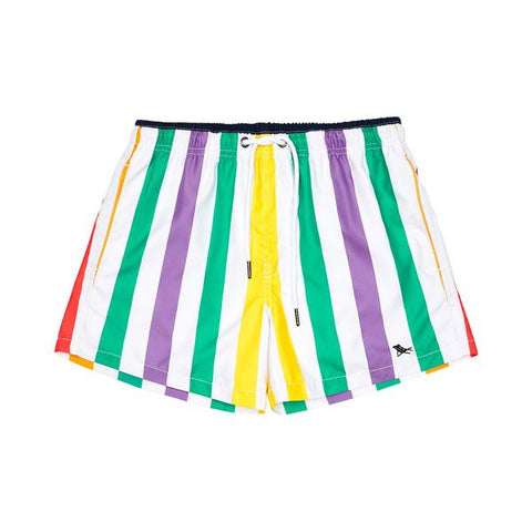 Cabana Rainbow Swim Shorts