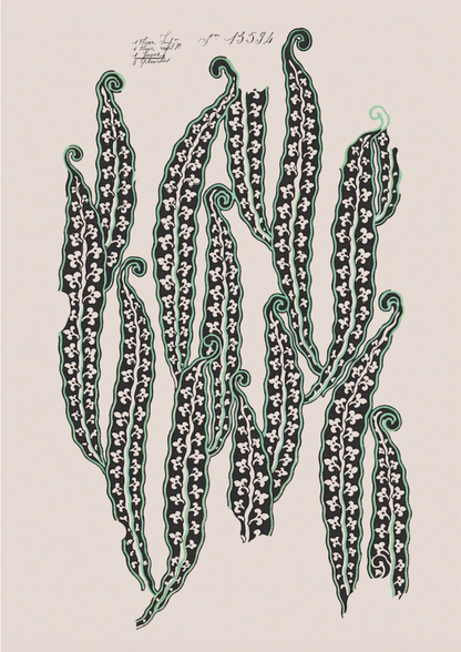 No.67 - Magic Beans II- Vintage Archive Poster Print