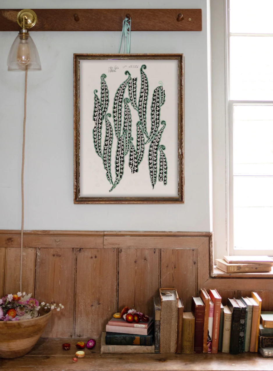 No.67 - Magic Beans II- Vintage Archive Poster Print