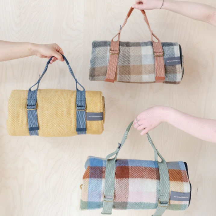 Recycled Picnic Carriers