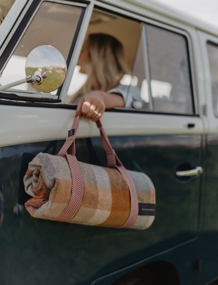 Recycled Picnic Carriers